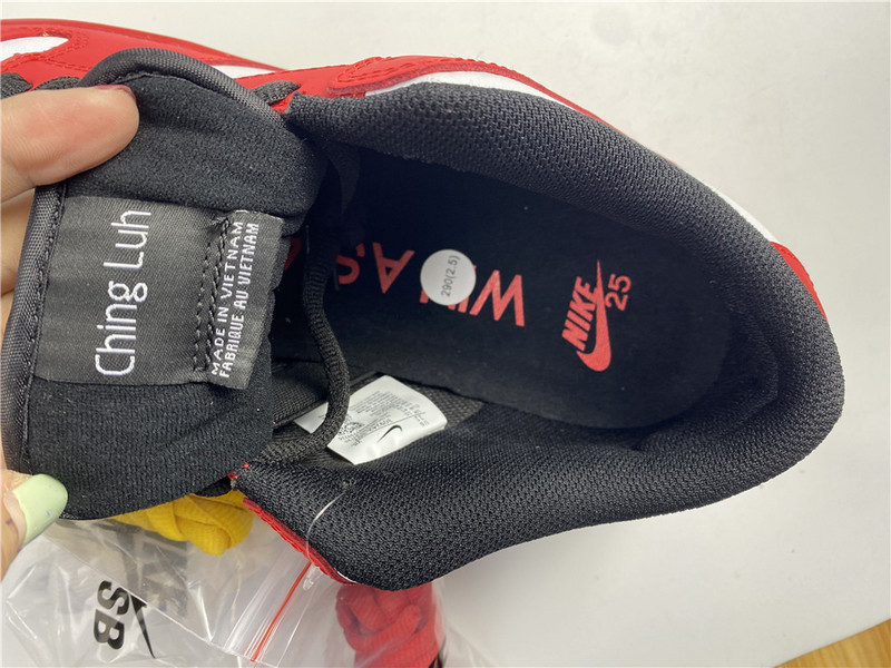 NIKE SB DUNK LOW 309242-307