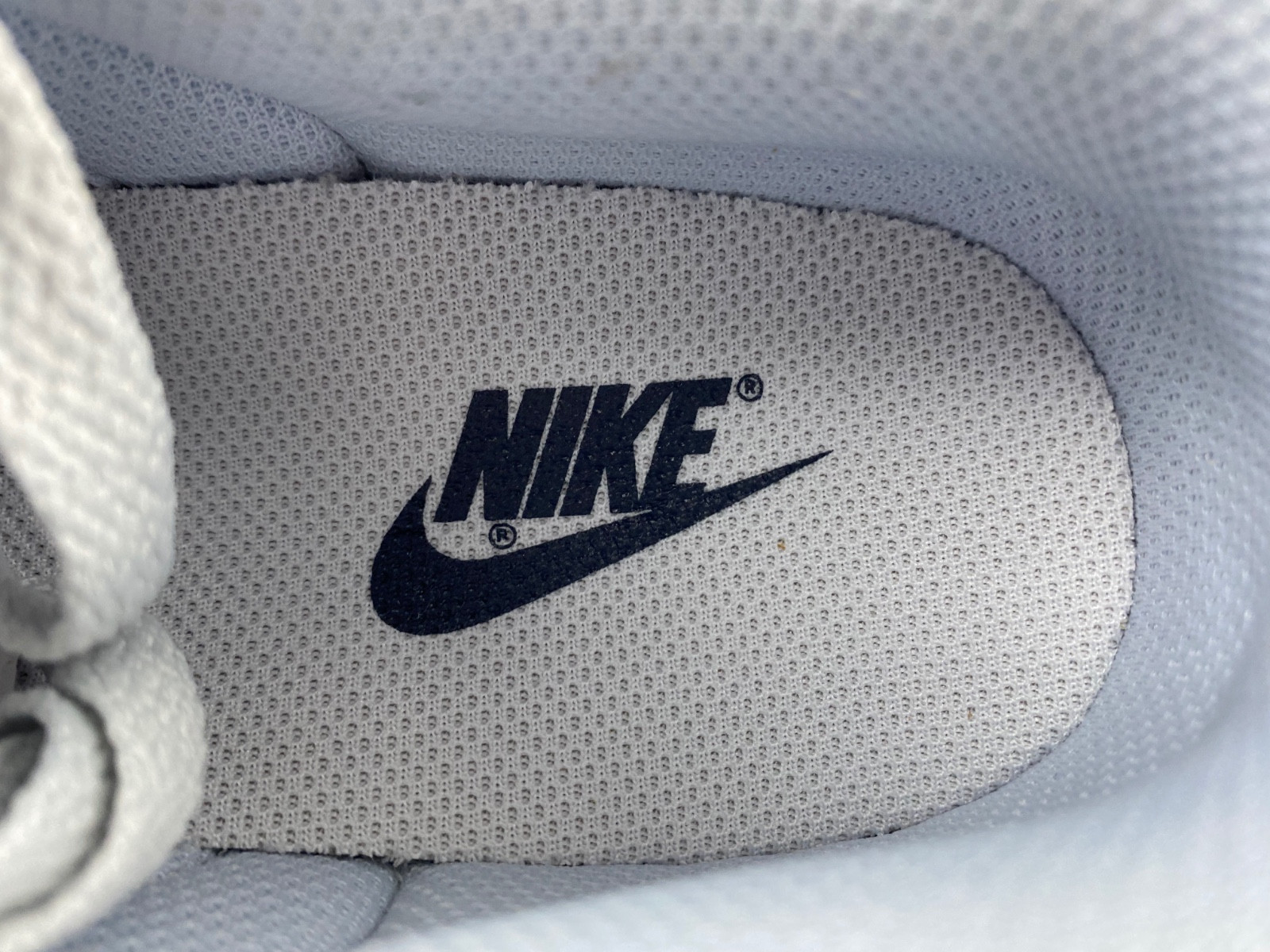 Nike Dunk Low 3D DV6482-100