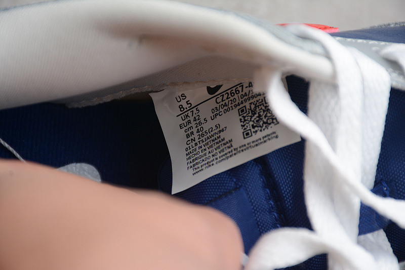 Nike Dunk Low Co.JP Samba (2020) CZ2667-400