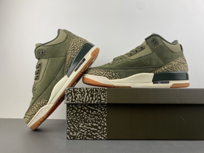 Air Jordan 3 Family Affair Medium Olive DN3707-202