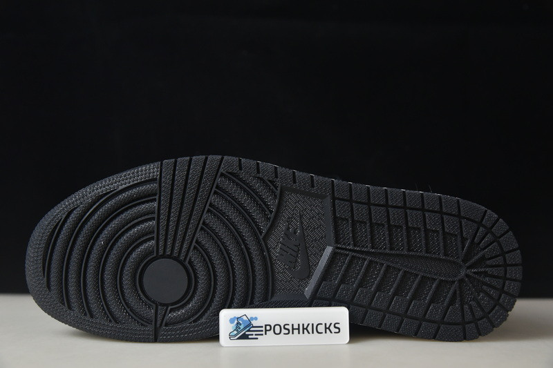 Jordan 1 Retro High OG Twist 2.0 (W) DZ2523-001