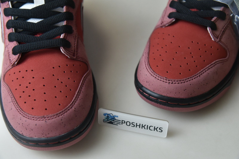 Nike Dunk SB Low Red Lobster 313170-661