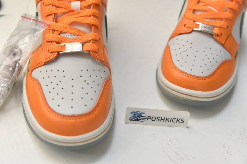 Florida A&M x Nike Dunk Low DR6188-800