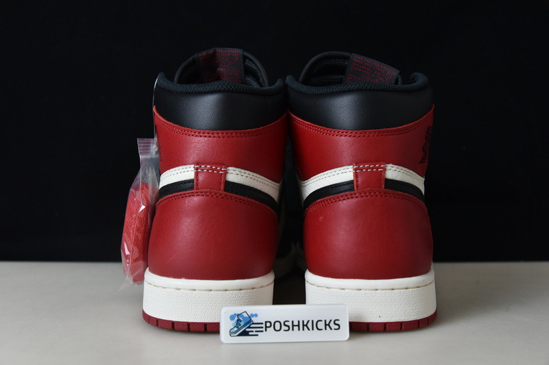 AIR JORDAN 1 RETRO HIGH OG BRED TOE 555088-610