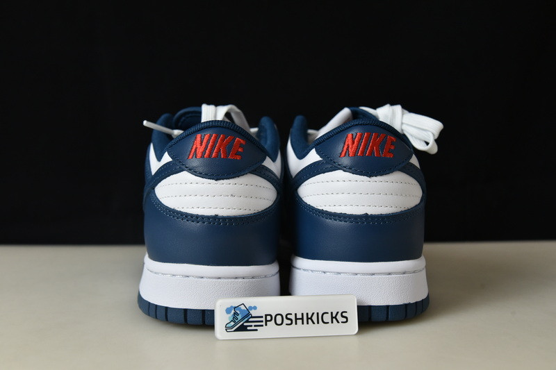 Nike dunk SB Low Retro Valerian Blue DD1391-400