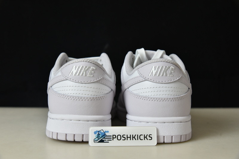 Nike Dunk Low Venice (W) DD1503-116