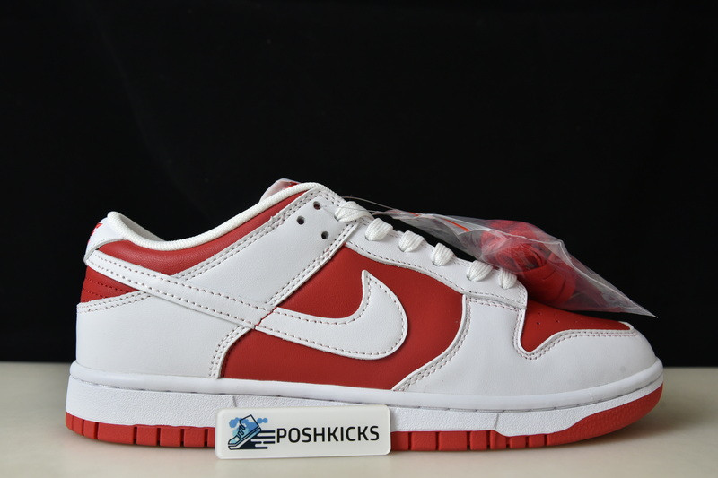 Nk Dunk Low “University Red” DD1391-600