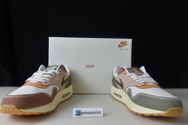 Nike Air Max 1 Premium Wabi-Sabi (W) DQ8656-133