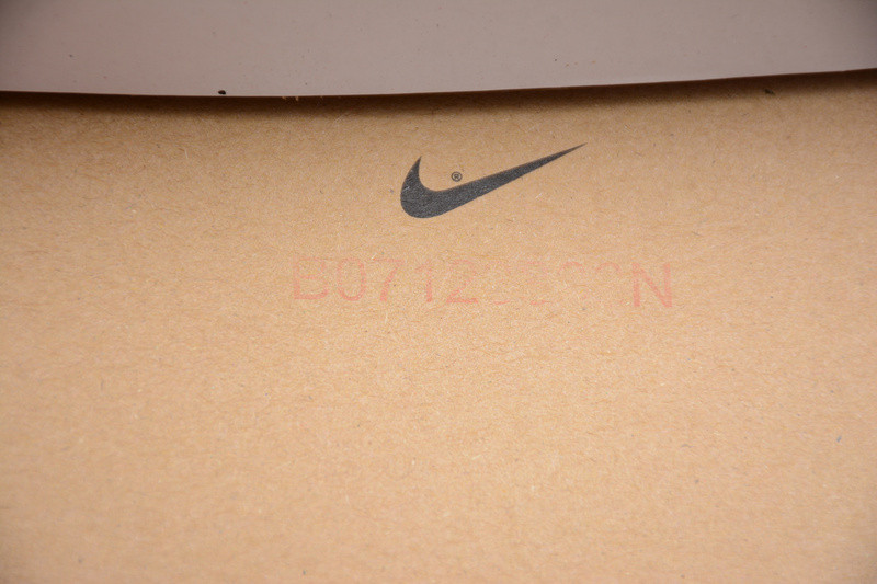 Jordan 1 Retro Satin Shattered Backboard AV3725-010