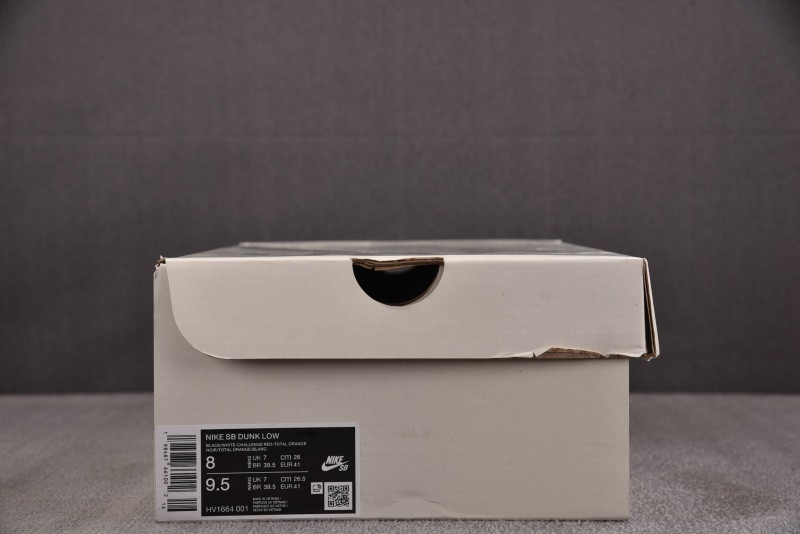 Bronx Girls Skate x Nike SB Dunk Low HV1664-001