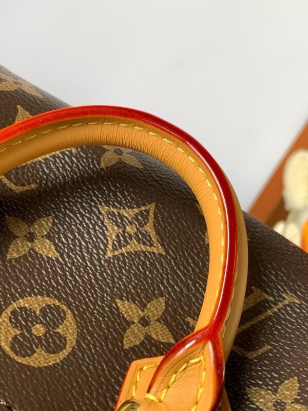 LOUIS VUITTON NANO SPEEDY