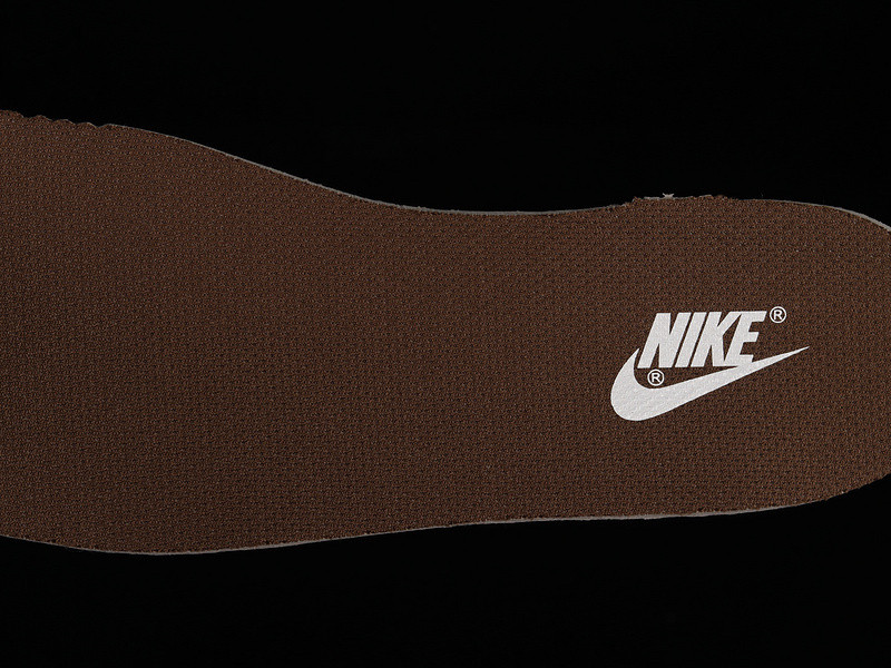 Nike Dunk Low W Cacao Wow l DD1503-124