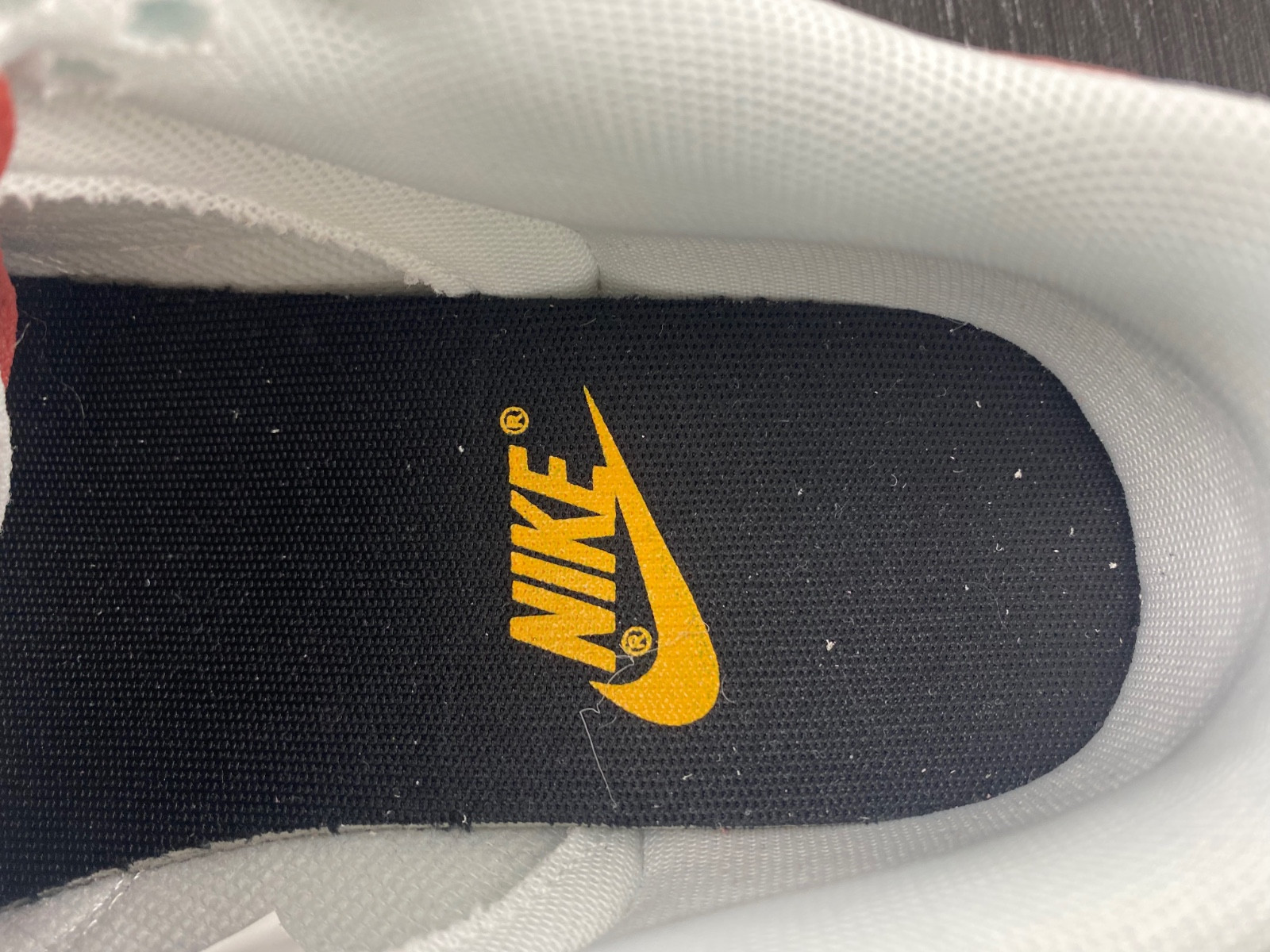 Nike Dunk Low SE DO9457-110