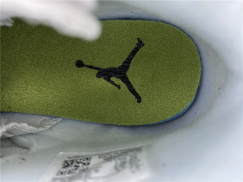 Air Jordan 6 GS Alligator 384665-110